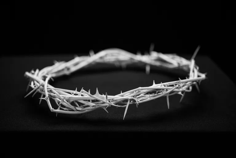 Thorns
