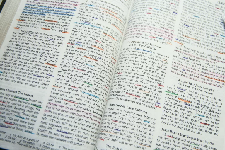 Bible project